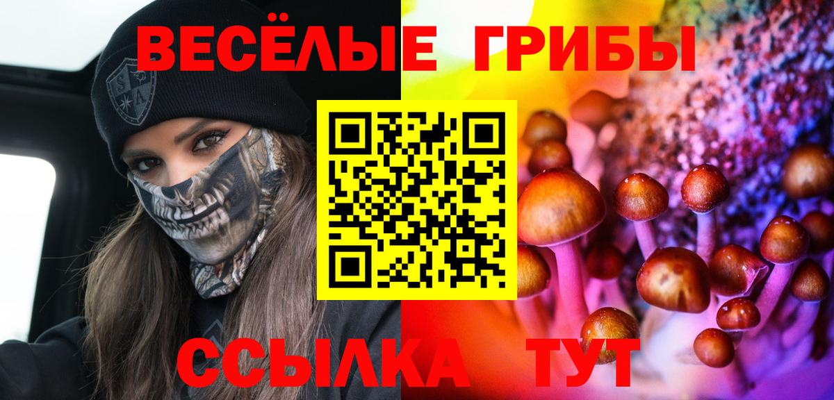 Псилоцибиновые грибы Cubensis Гуково