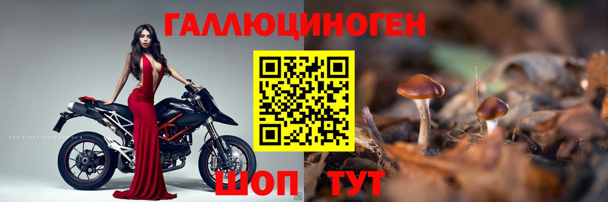 как найти закладки  Вход с VPN  Гуково  Галлюциногенные грибы мицелий 
