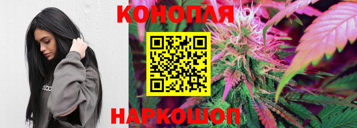 Конопля MAZAR Гуково